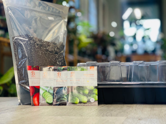 Mastering the Art of Seed Starting: A Guide to a Bountiful Vegetable Garden in Michigan
