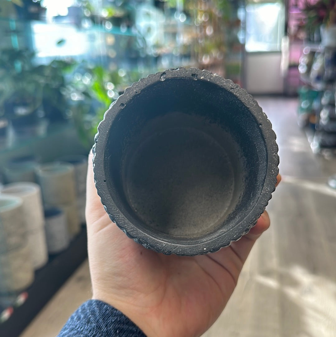 3.5" Gray Shell Pattern (#7853)