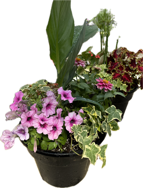 Porch Planter Workshop (5/18/2025)