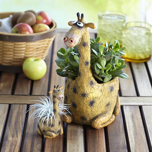 Baby Giraffe Geneva - Mini Blobhouse Planter