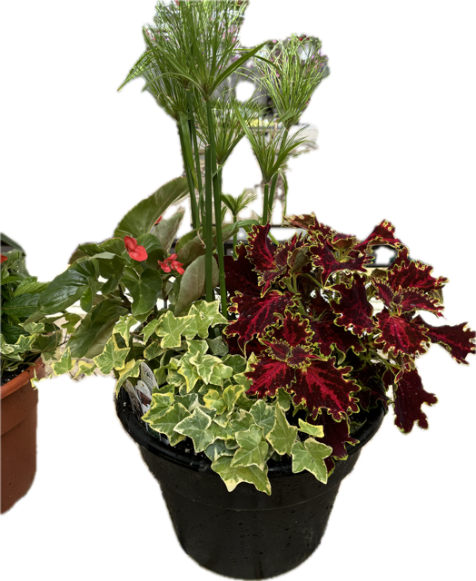 Porch Planter Workshop (5/18/2025)