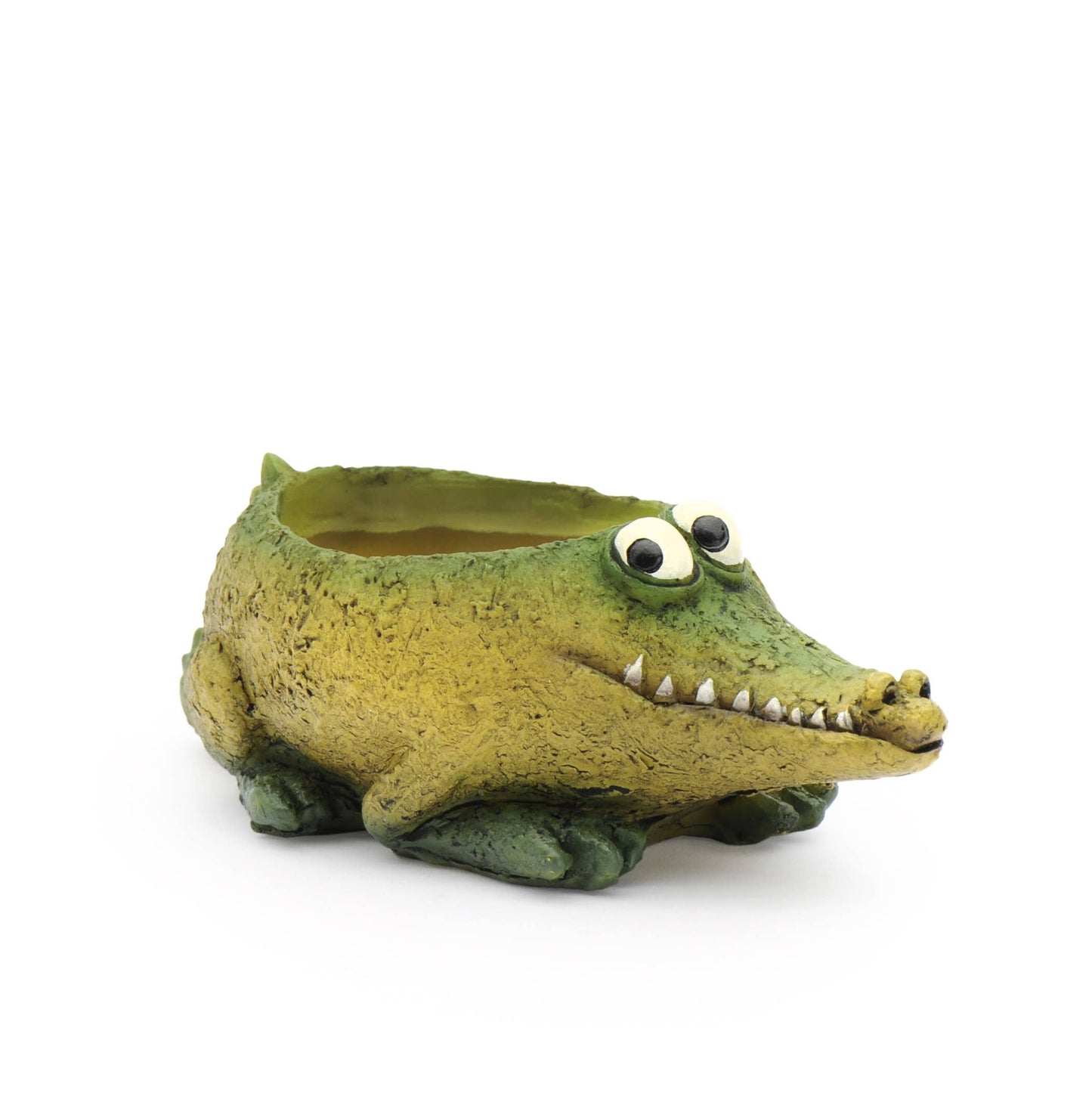 Baby Alligator, 'Kicks' Mini Blobhouse Planter