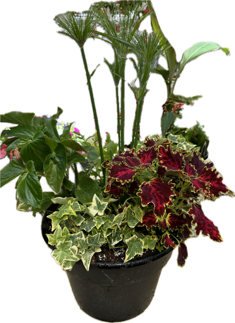 Porch Planter Workshop (5/18/2025)