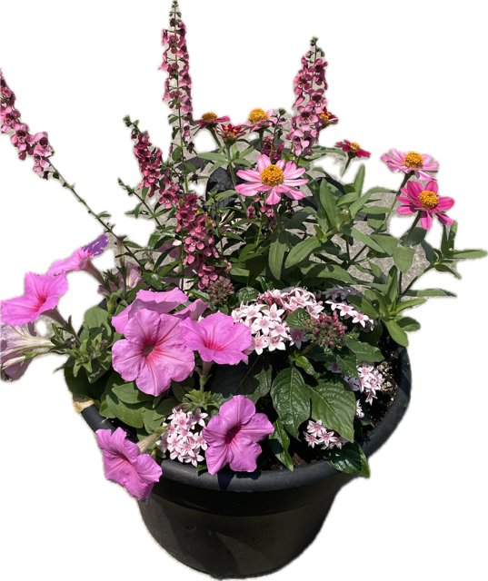 Porch Planter Workshop (5/18/2025)