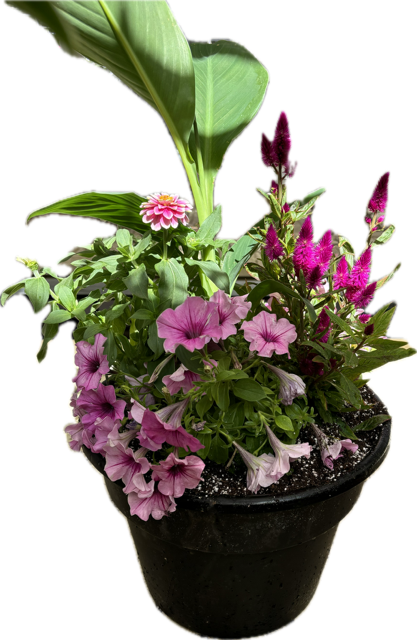 Porch Planter Workshop (5/18/2025)