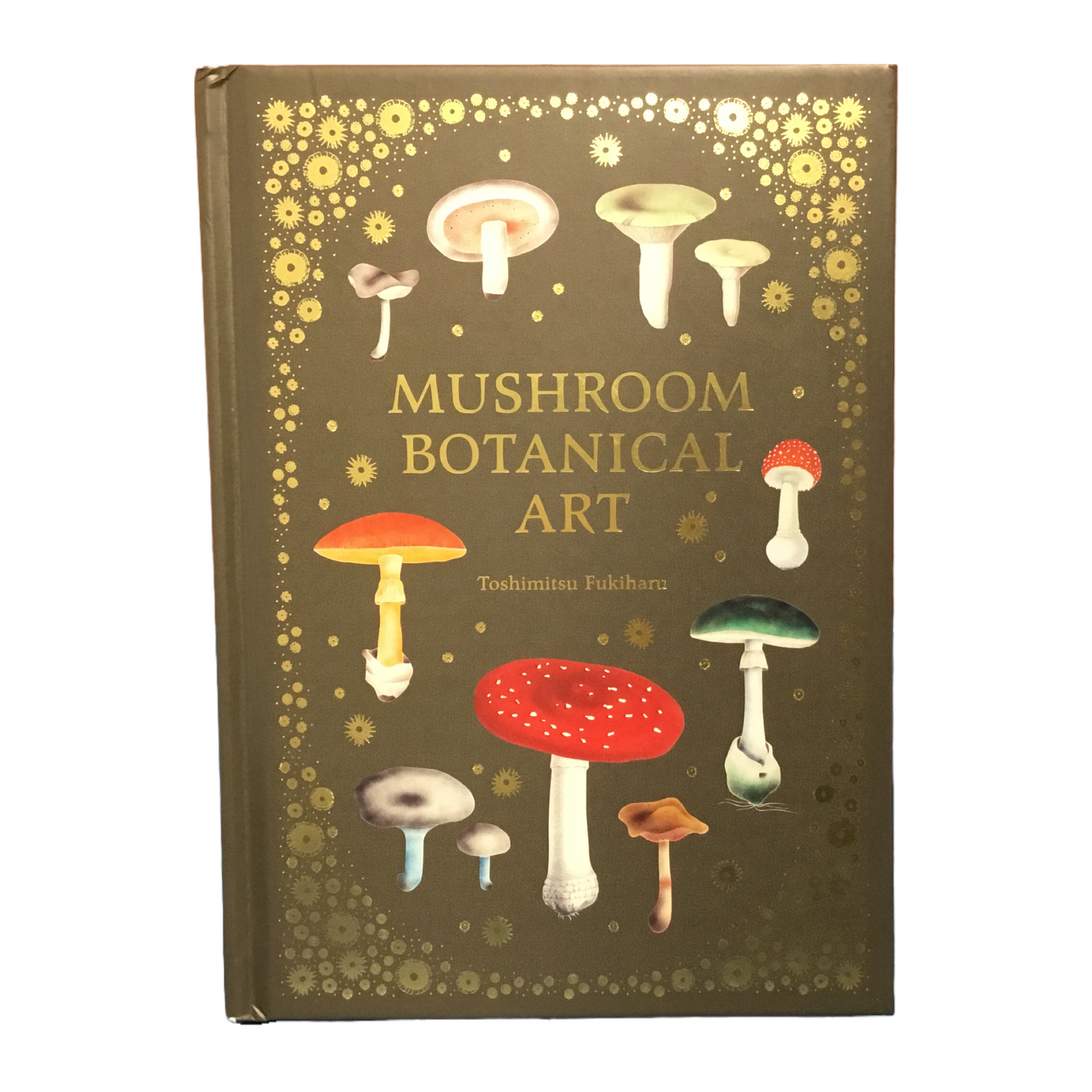 Mushroom Botanicals Art by Toshimitsu Fukiharu
