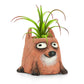 Dexter, Fox Planter