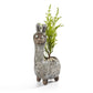 Dolly, the Llama Blobhouse Planter