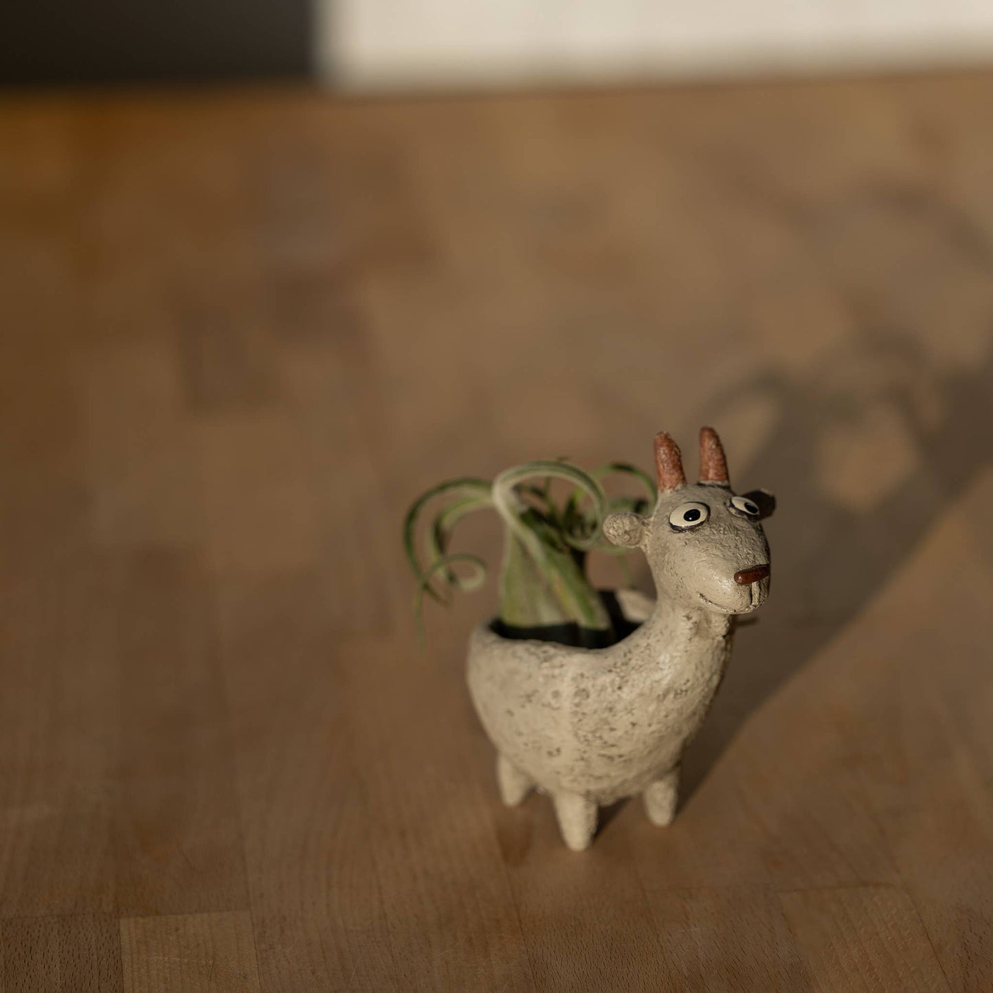 Jasper, the Billy Goat Planter