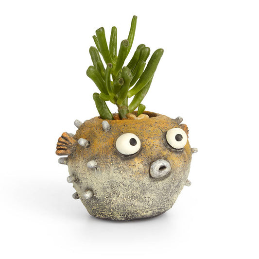 Hootie Blow Fish Blobhouse Planter