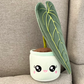 Queen Anthurium Plushie