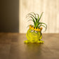 Charlie, The Frog King Blobhouse Planter