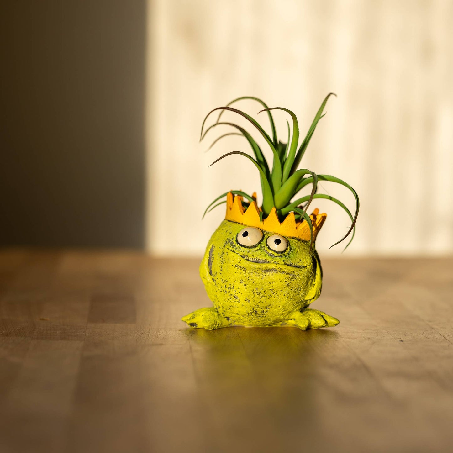 Charlie, The Frog King Blobhouse Planter