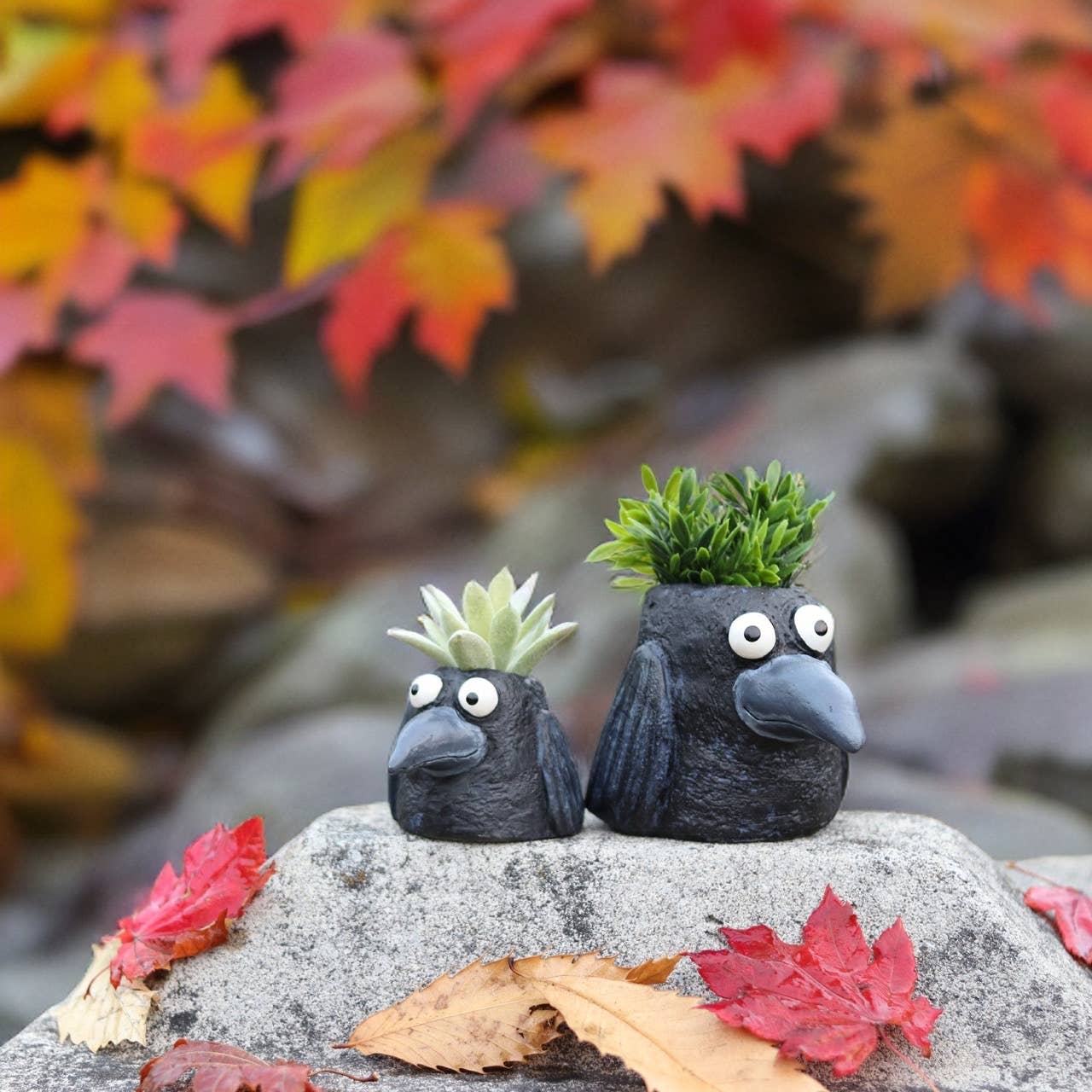 Poe the Crow Blobhouse Planter