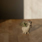 Jasper, the Billy Goat Planter