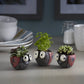 Ladybug Blobhouse Planters