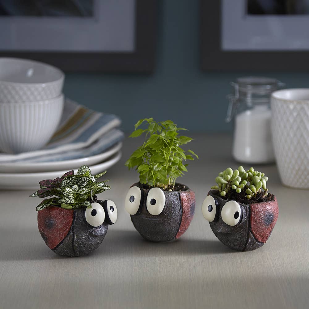 Ladybug Blobhouse Planters