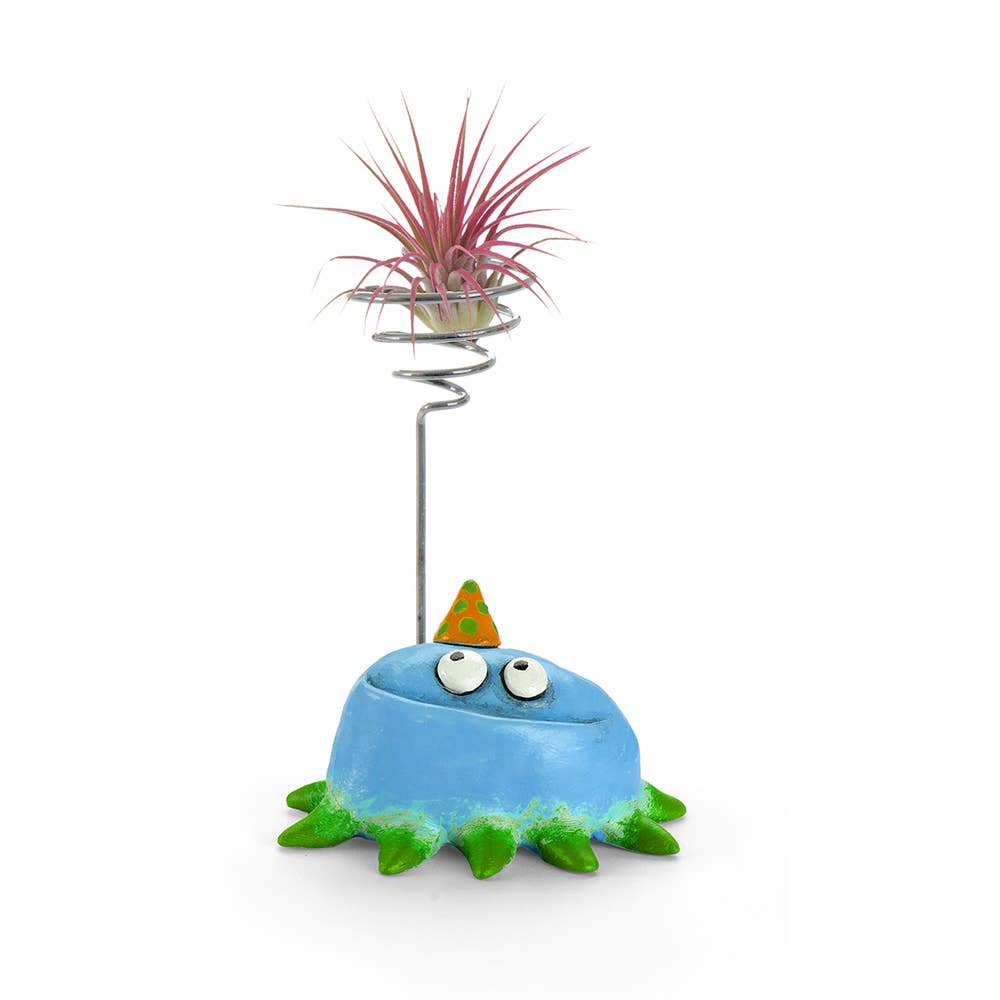 Fiesta Party Blob, Teal, w/ Air Plant Holder