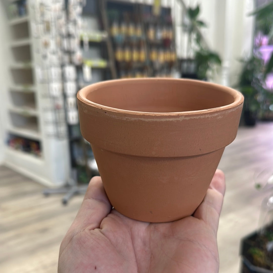 4.3" Azaela Clay Pot (#1001)