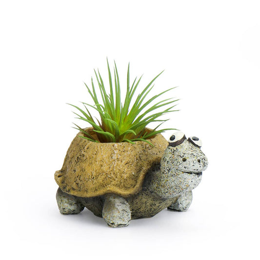 Baby Tortoise, Preston, Mini Blobhouse Planter