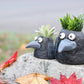 Poe the Crow Blobhouse Planter