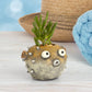 Hootie Blow Fish Blobhouse Planter