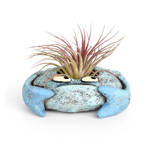 Krusty Crab Blobhouse Planter