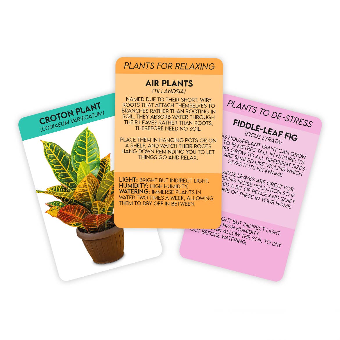 Positive Plants Card Pack