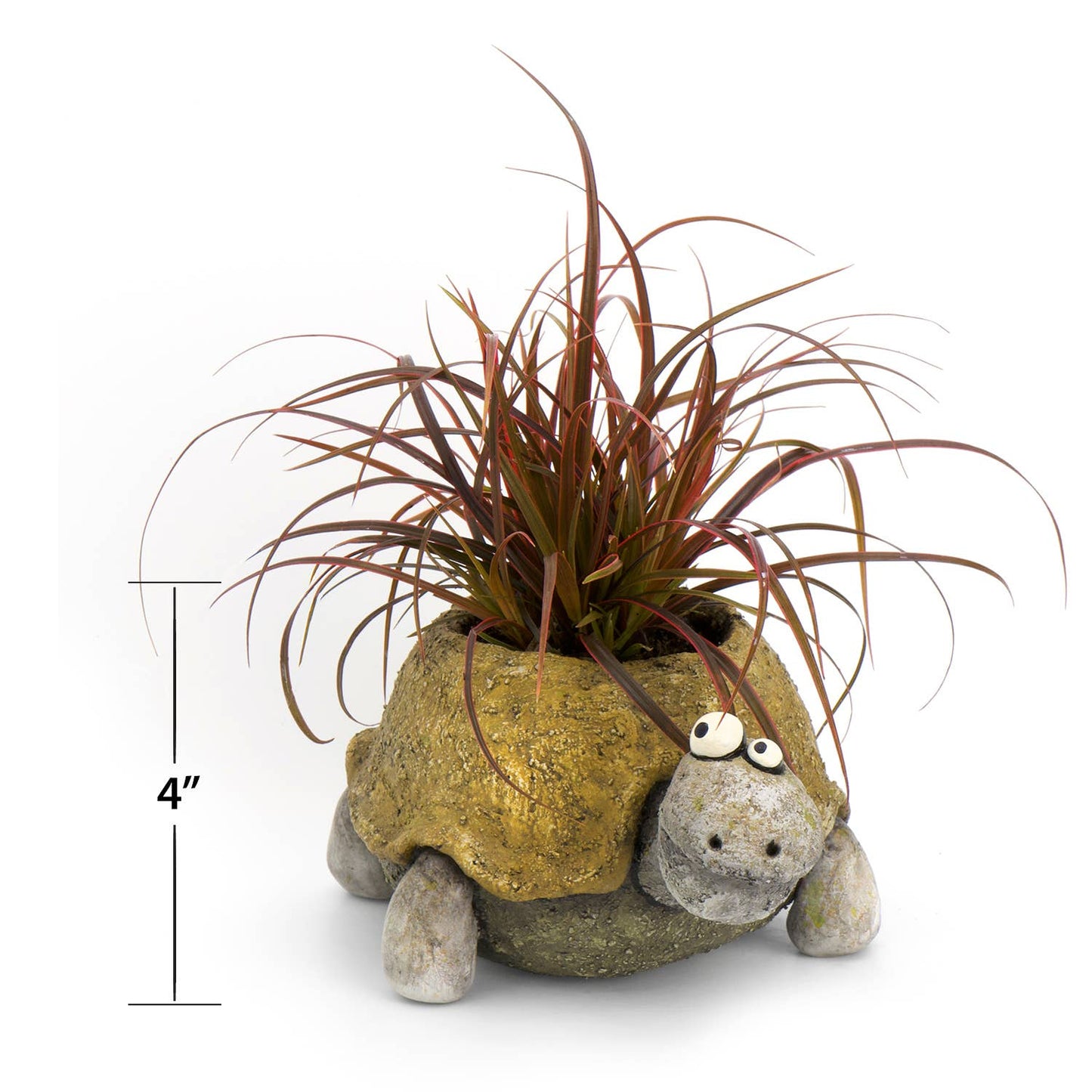 Pogo the Tortoise Blobhouse Planter