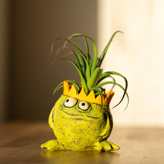 Charlie, The Frog King Blobhouse Planter