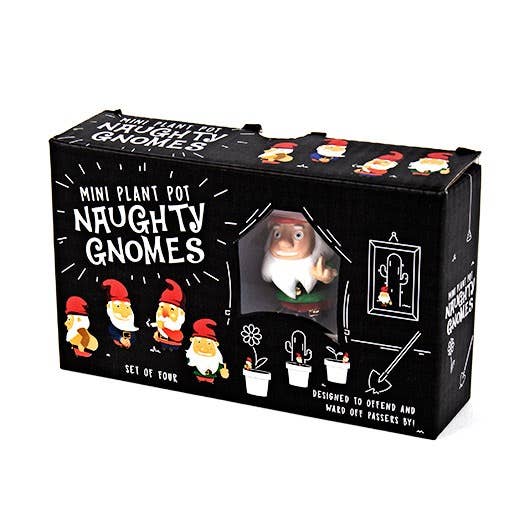 NAUGHTY GNOMES PLANTERS