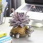 Pogo the Tortoise Blobhouse Planter