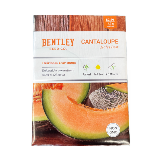 Cantaloupe - Hales Best