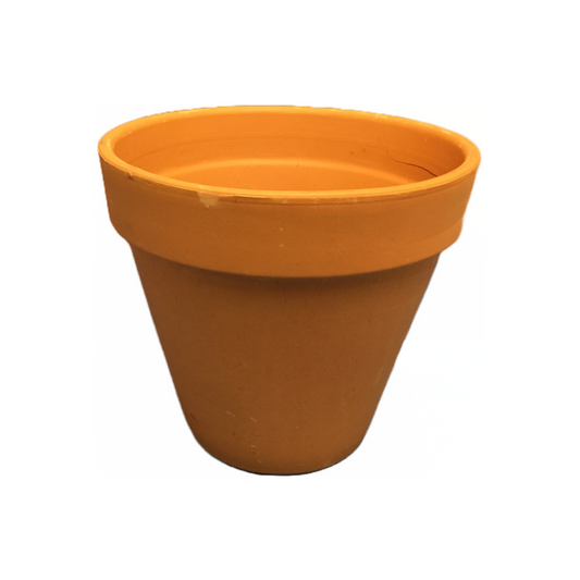 Deroma 21 cm (8.3 Inch) Standard Clay Pot