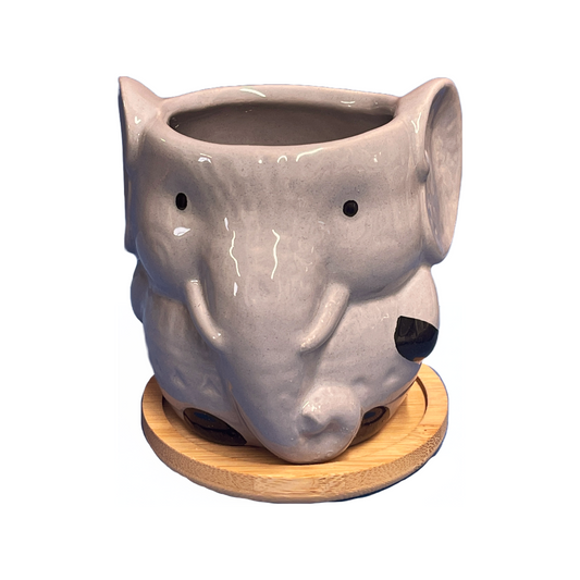 Elephant Pot with Wood Coaster