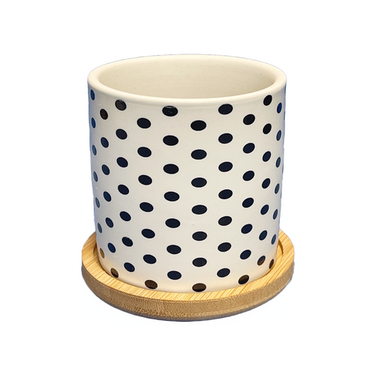 3" Black & White Pot With Wood Coaster (Style #3)