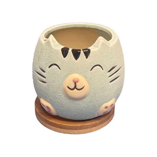 Blue/Green Cat Pot with Wood Coaster