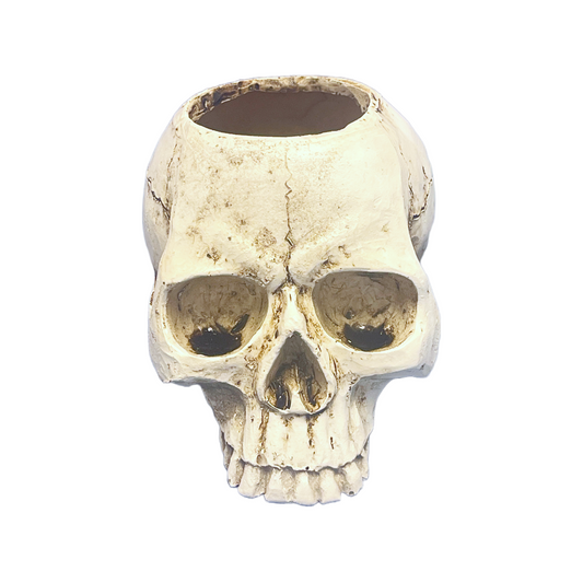Skull Pot (2inch) [Style #Bp040]