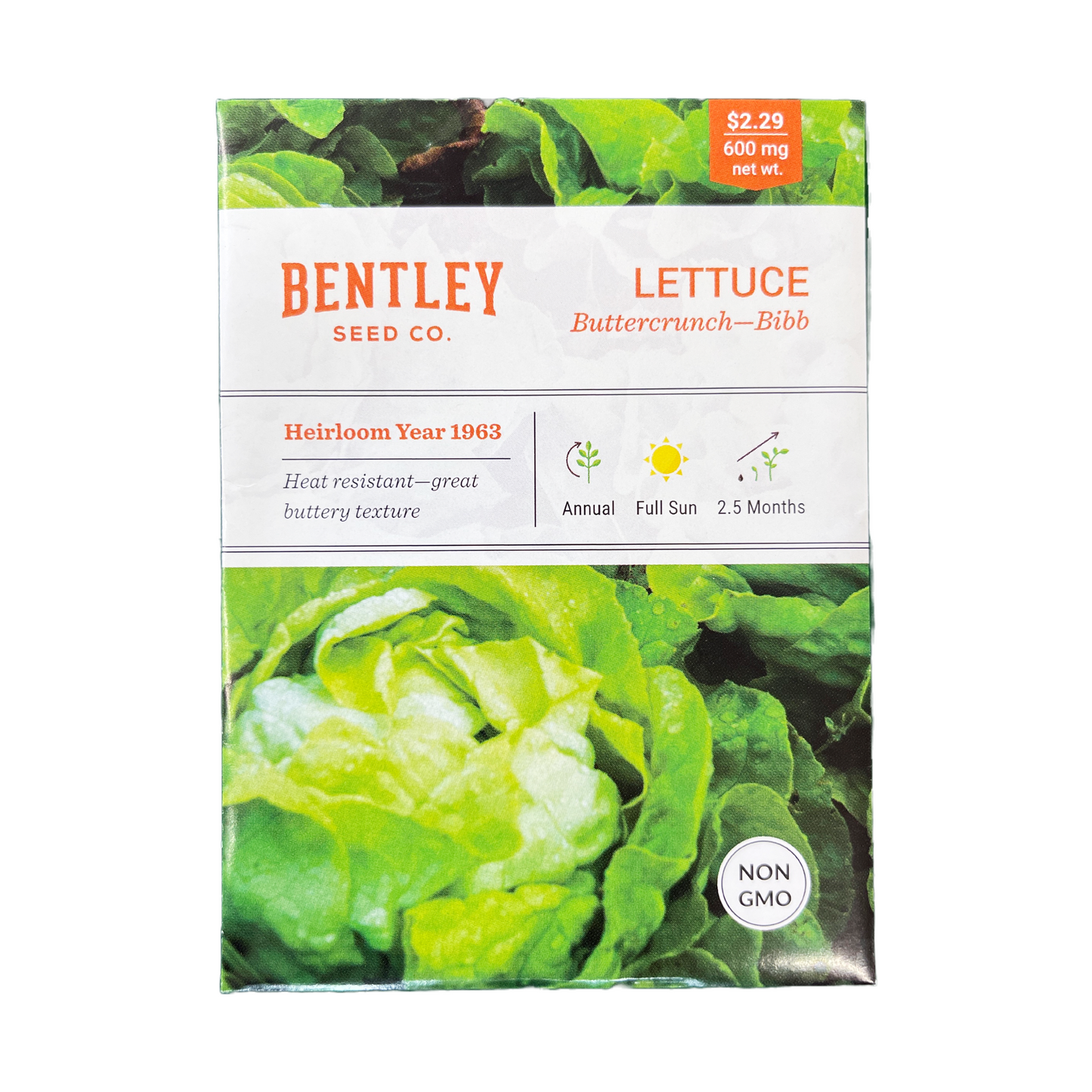 Buttercrunch Lettuce