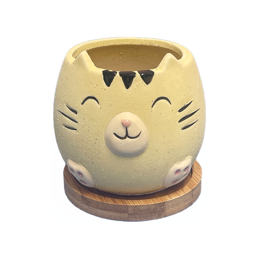 Yellow Cat Pot with Wood Coaster