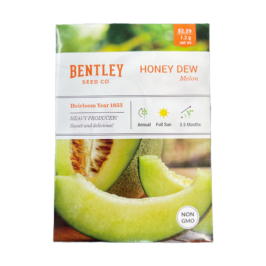 Honey Dew Melon