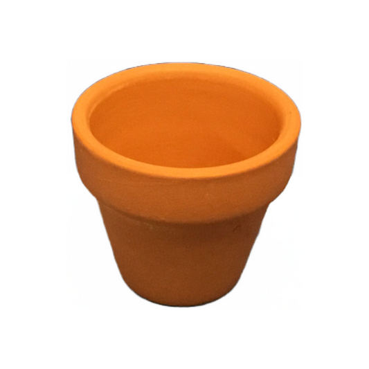 Deroma 1.89 Inch Clay Pot