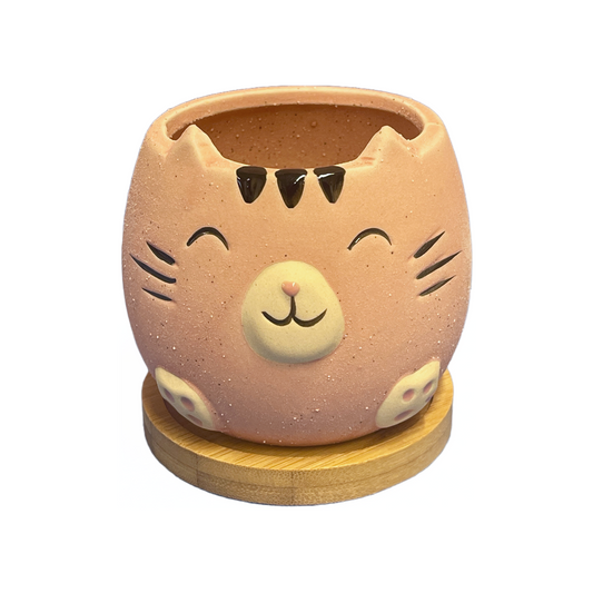 Pink Cat Pot with Wood Coaster