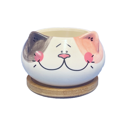 Cat Pot with Wood Coaster