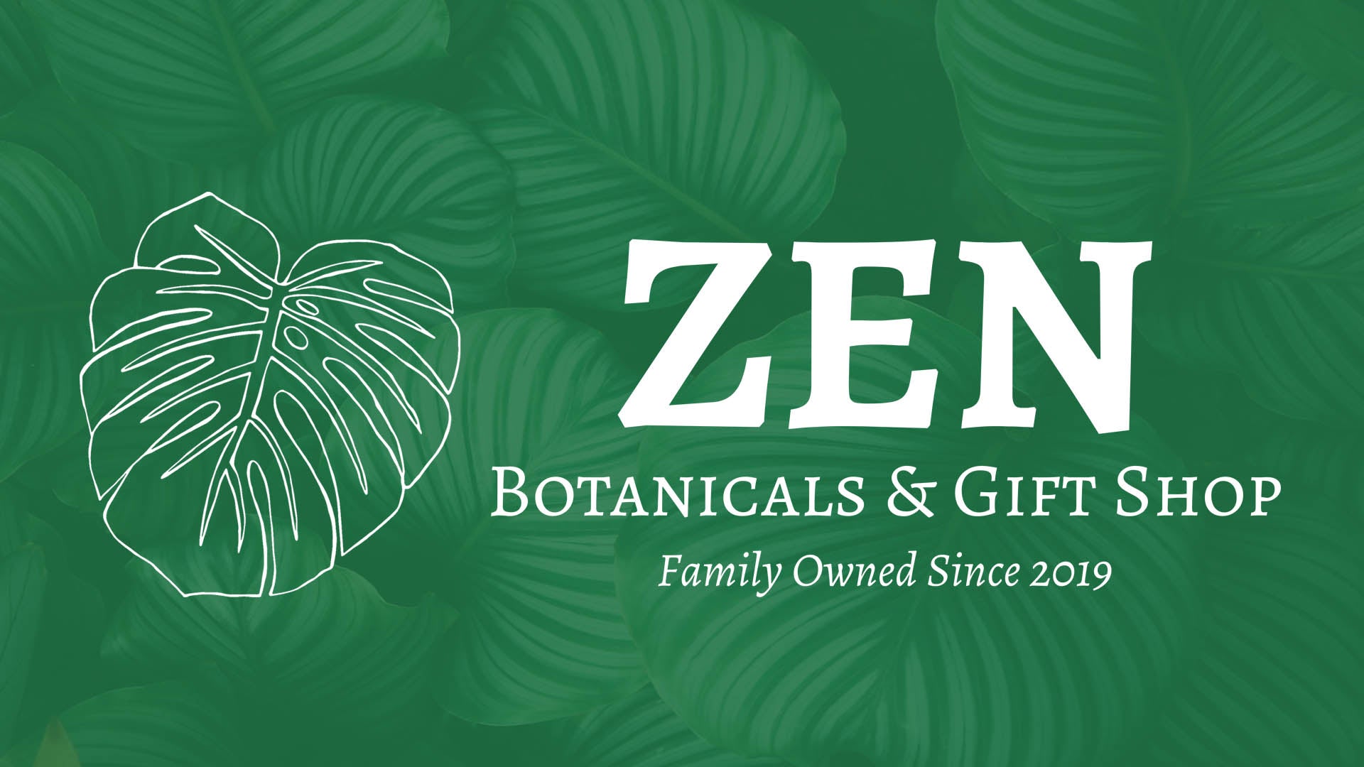 Plant Care Guide Sansevieria Zen Botanicals Gift Shop plant-care-guide-sansevieria-zen-botanicals-gift-shop
