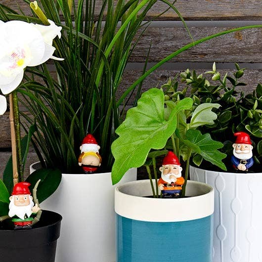 NAUGHTY GNOMES PLANTERS